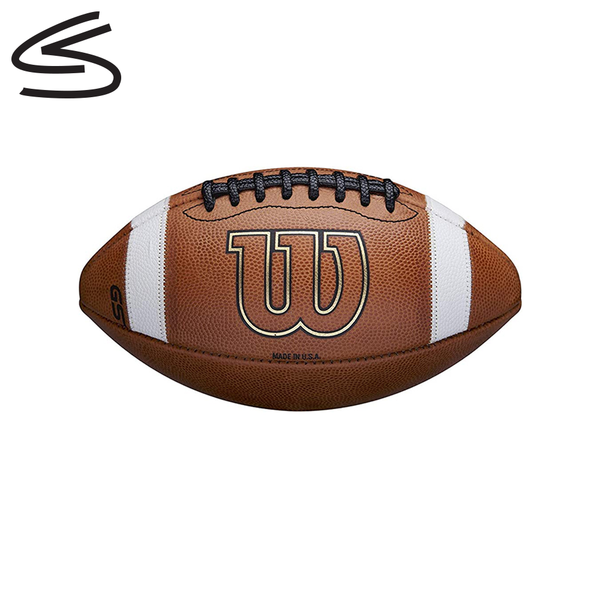 Wilson TDY Leather Football